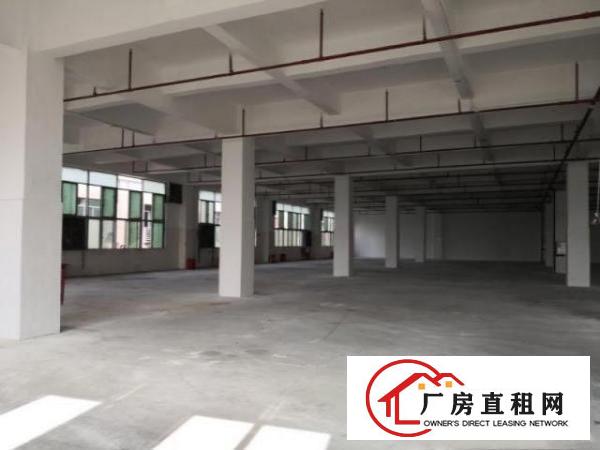 万江新出独院标准厂房一楼1500平方出租，入驻就可生产