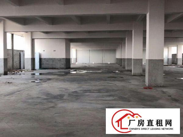  清盘啦！清盘啦！万江简沙洲一楼精装办公室500平底价租