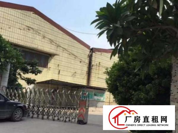  万江万江周边万江石美工业园一楼仓库楼上厂房出租
