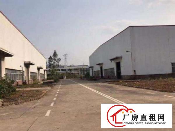  万江万江周边万江石美工业园一楼仓库楼上厂房出租