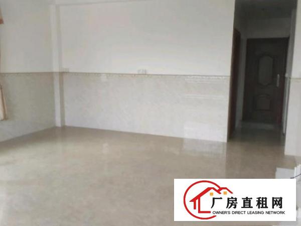  自建房出租，一厅两房一厨一卫