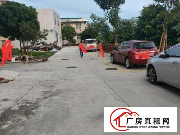  自建房出租，一厅两房一厨一卫