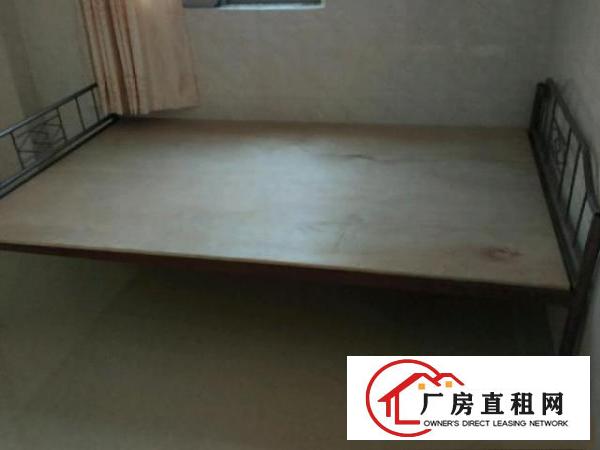  自建房出租，一厅两房一厨一卫