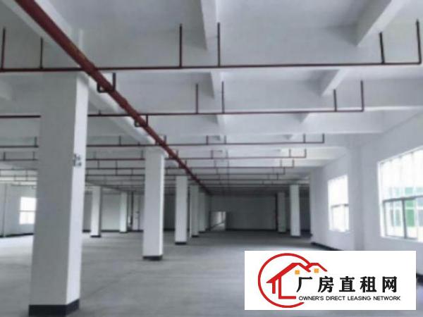  万江简沙洲标准厂房楼上三楼2000平方带消防喷淋出租