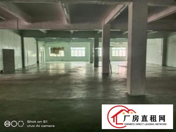  可签10年合同简沙洲虾公坎5700平，可分租可整租。真实图片