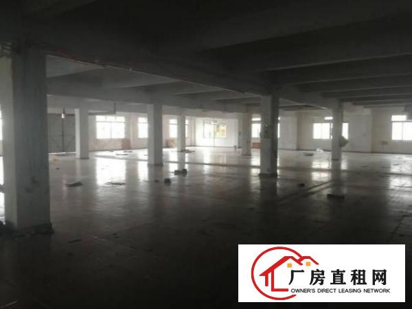  可签10年合同简沙洲虾公坎5700平，可分租可整租。真实图片