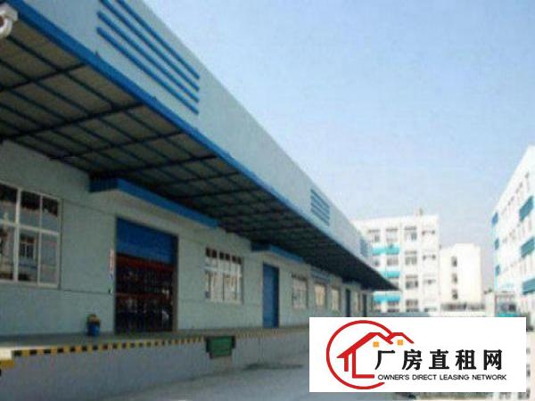  万江、高埗、石碣、中堂、道滘望牛墩厂房信息低价出租