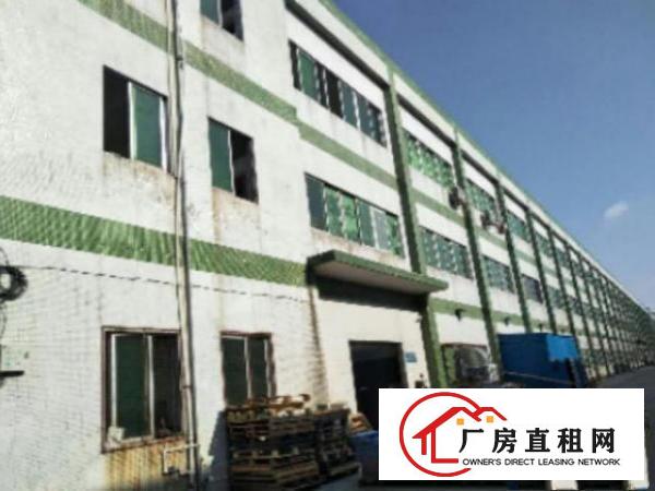  万江、高埗、石碣、中堂、道滘望牛墩厂房信息低价出租