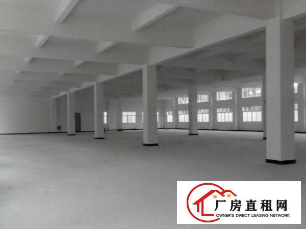  石美新出1100平米标准一楼厂房招租