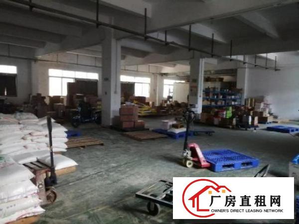  万江标准厂房仓库一楼250～500平方出租