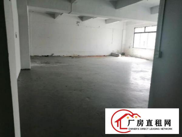  万江标准厂房仓库一楼250～500平方出租