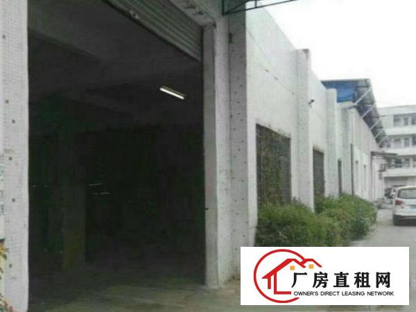  万江新出环城路边工业园分租1200平方单一层钢构厂房仓库出租