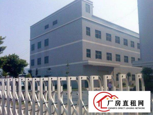  万江大道旁原房东急租一楼厂房1200平，整栋出租分租