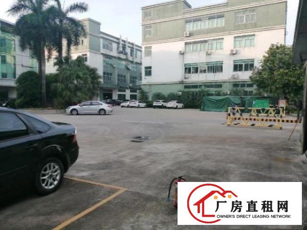  万江一楼1500平方现成装修办公室车间出租