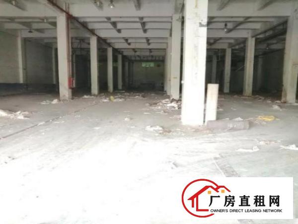  万江一楼1500平方现成装修办公室车间出租