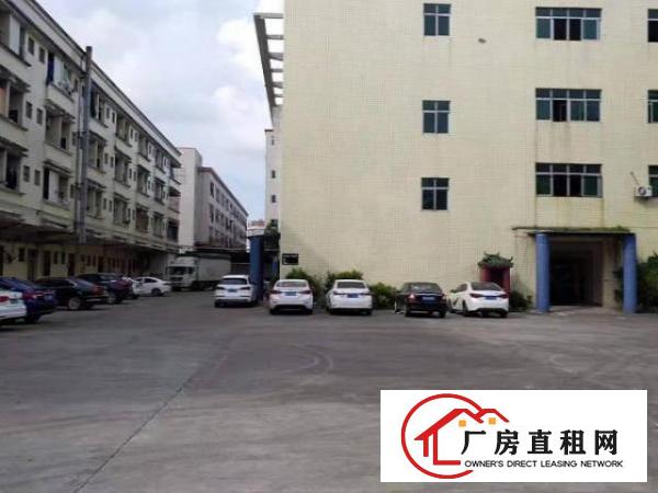  万江客运总站出租万江江滨花园严屋物流园区700平方单层钢