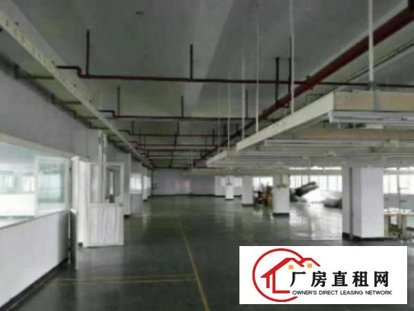  万江标准一楼厂房500或1000㎡出租易招工配套齐全24管理
