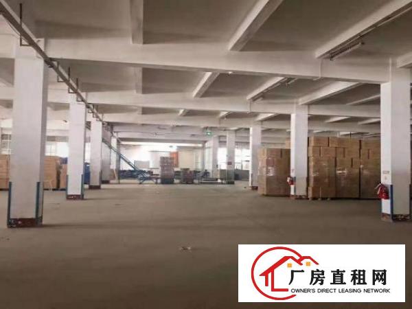  出租万江石美出租万江客运总站厂房仓库出租