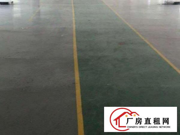  万江周边万江客运总站万江区新厂房平价推介