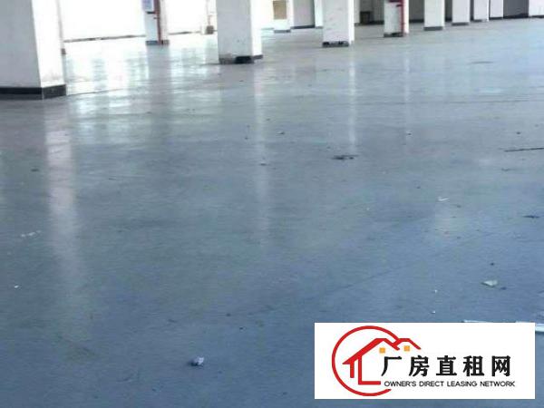  万江周边万江客运总站万江区新厂房平价推介