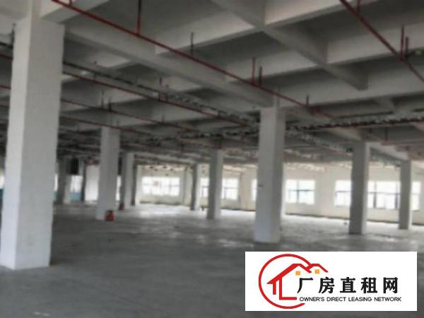  万江标准一楼厂房400平方600或1200㎡出租