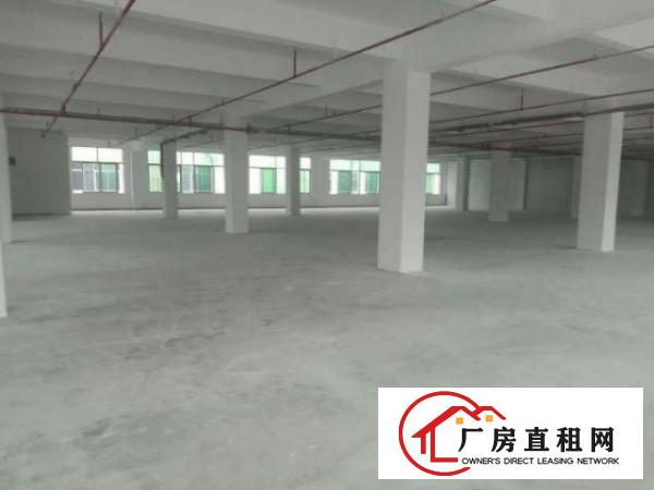  万江石美附近工业区新出标准厂房2楼1700平方出租
