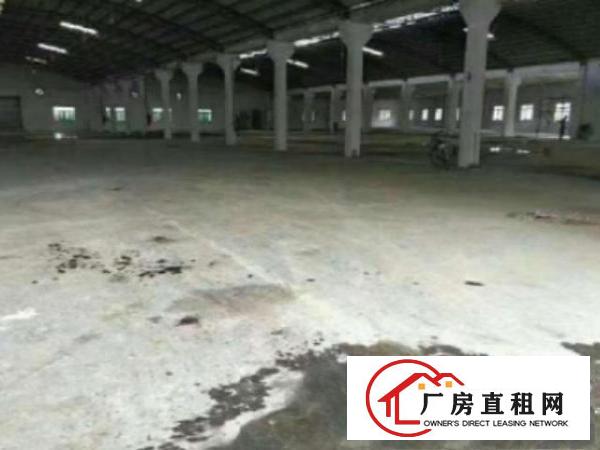  万江独院单一层钢构厂房出租3000平可分租滴水7米配电400