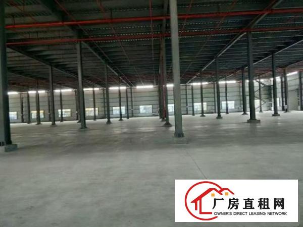  万江花园式独门独院单一层厂房8000平方出租空地超大独立变压