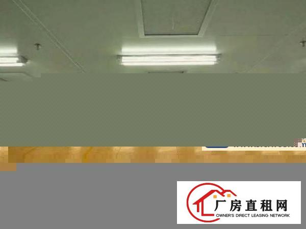  万江新和一楼厂房出租5001500、2000平方出租​带牛