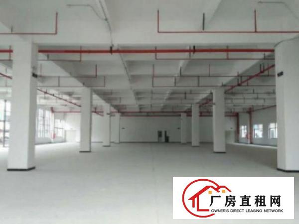  万江简沙洲独院标准厂房分租一楼500平方出租