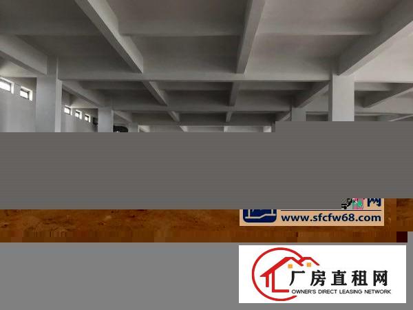  万江标准厂房分租一楼1200平方出租交通非常便利，可进大车，