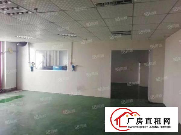  万江大汾社区280平厂房出租，无公摊