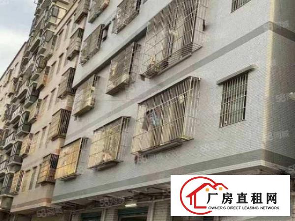  万江简沙洲社区一楼300铺面出租