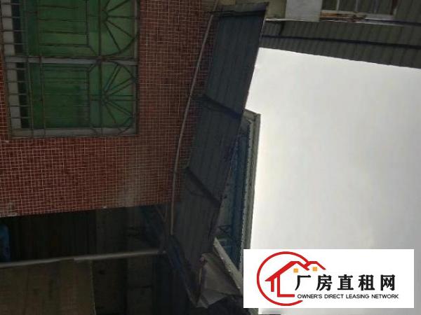  1200平方厂房，宿舍400平方，空地300平方