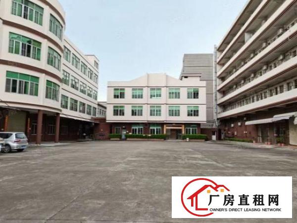  万江简沙洲靠港口大道环城路原房东标准独门独院，独立宿舍办公