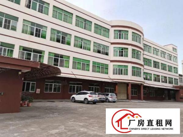  万江简沙洲靠港口大道环城路原房东标准独门独院，独立宿舍办公