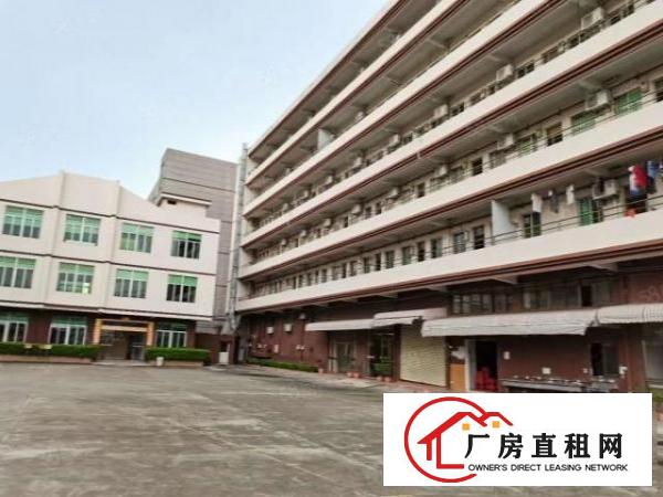  万江简沙洲靠港口大道环城路原房东标准独门独院，独立宿舍办公
