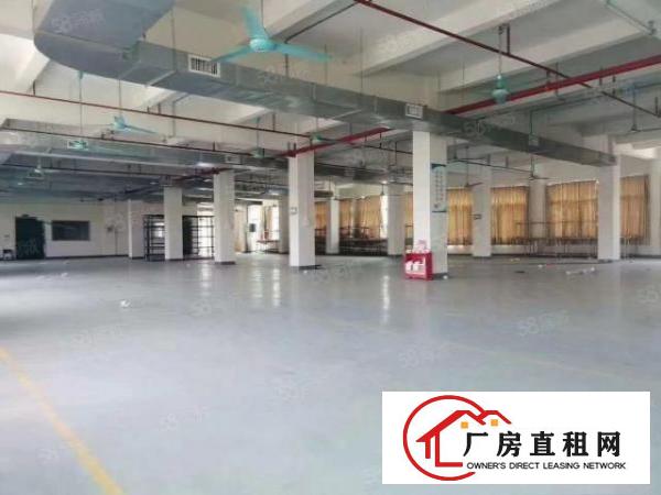  万江简沙洲靠港口大道环城路原房东标准独门独院，独立宿舍办公
