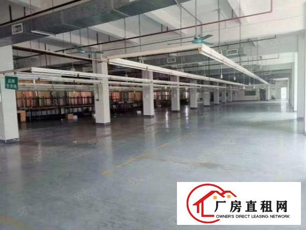  万江简沙洲靠港口大道环城路原房东标准独门独院，独立宿舍办公