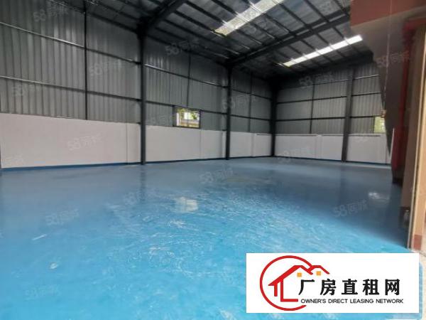  万江简沙洲全新地坪漆独门独院厂房，靠港口大道环城路工业用地