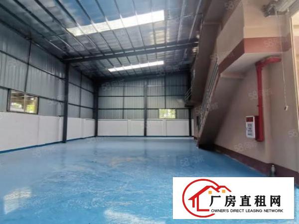  万江简沙洲全新地坪漆独门独院厂房，靠港口大道环城路工业用地
