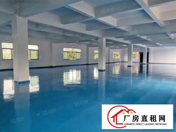  万江简沙洲全新地坪漆独门独院厂房，靠港口大道环城路工业用地