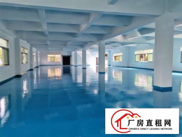  万江简沙洲全新地坪漆独门独院厂房，靠港口大道环城路工业用地