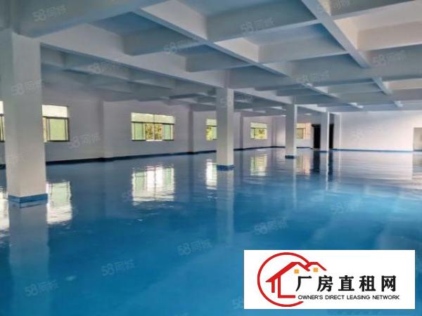  万江简沙洲全新地坪漆独门独院厂房，靠港口大道环城路工业用地