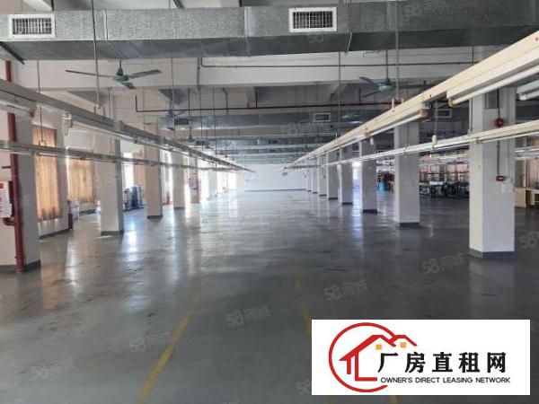  万江简沙洲楼房独院11000平米