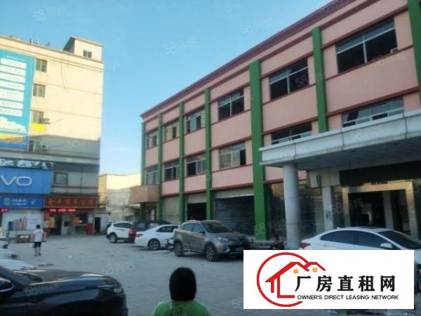  万江共联工业区新出标准一楼厂房2300平方