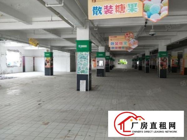  万江共联工业区新出标准一楼厂房2300平方