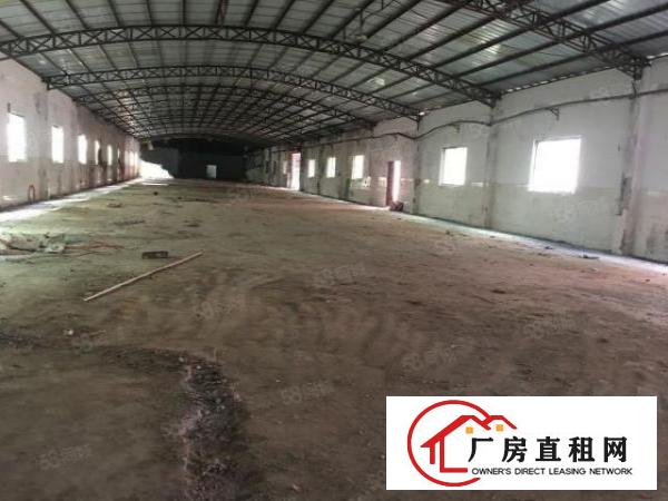  万江新出独门独院10米高单一层厂房招租