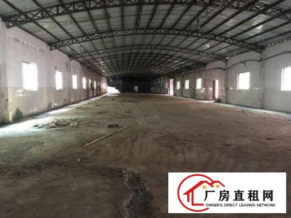  万江新出独门独院10米高单一层厂房招租