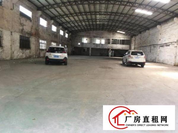  万江新出独门独院10米高单一层厂房招租